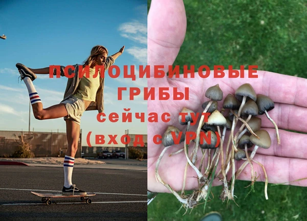 2c-b Михайловка