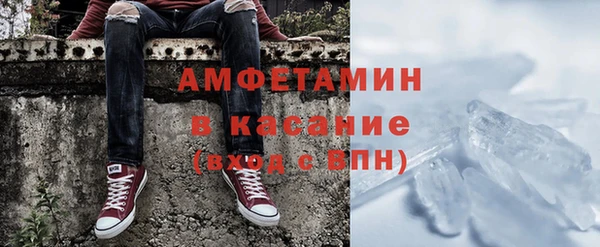 прущие грибы Надым