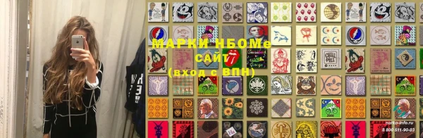 прущие грибы Надым