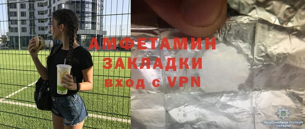 прущие грибы Надым