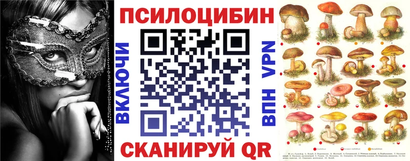 ссылка на мегу онион  Олёкминск  Галлюциногенные грибы Psilocybe 