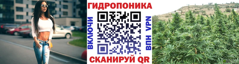 Марихуана сатива  Олёкминск 